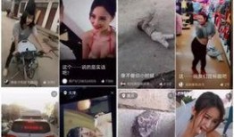 六月爆料今日头条视频回放,今日头条视频回放背后的独家爆料